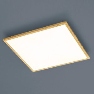 Helestra Rack LED stropní světlo hranaté zlatá