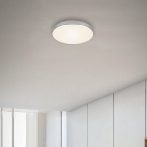 LED stropní světlo Flame, Ø 21,2 cm, stříbrná