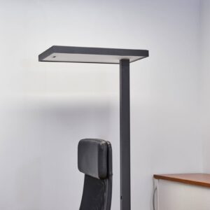 Kancelářská LED stojací lampa Lola, 4 000 K, DALI