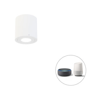 Chytré koupelnové bodové bílé kulaté IP44 včetně Wifi GU10 – Capa