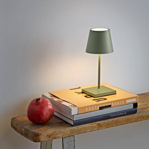 LED stolní lampa Nuindie aku mini 25cm šalvějová