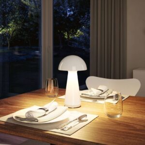 Nabíjecí stolní lampa Paulmann LED Onzo